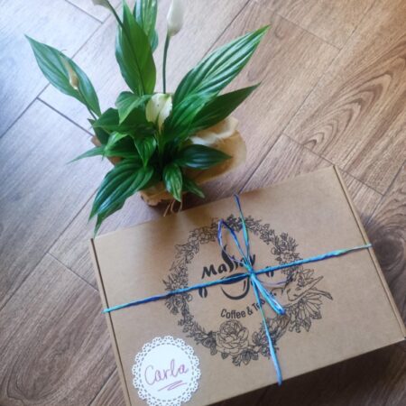 Caja regalo preparada para envío